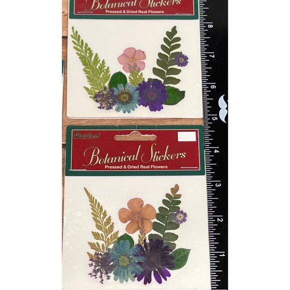 SET OF 3 Darice Botanical Stickers Pressed & Dried Real Flowers EMBELLISHMENT - Picture 3 of 4